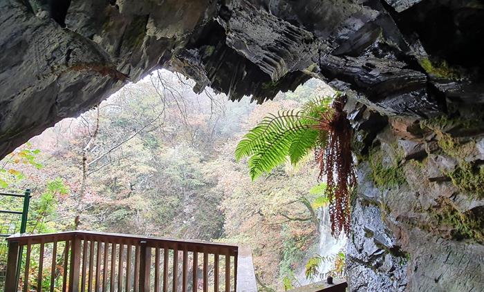 You will find this cave half way up the trail right next to the Waterfalls